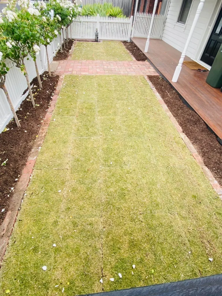 garden beds installtion